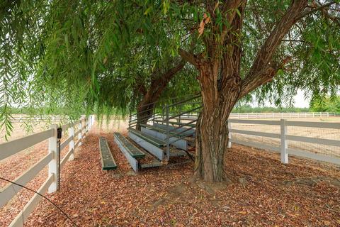 21607 S Olive Ave, Ripon, CA 95366 photo 57