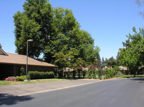 2334 Hyde Park Cir, Lodi, CA 95242 photo 22