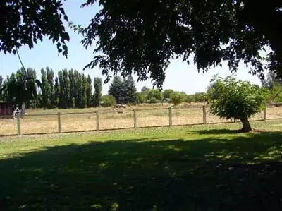 956 Pacific Ave, Willows, CA 95988 photo 10