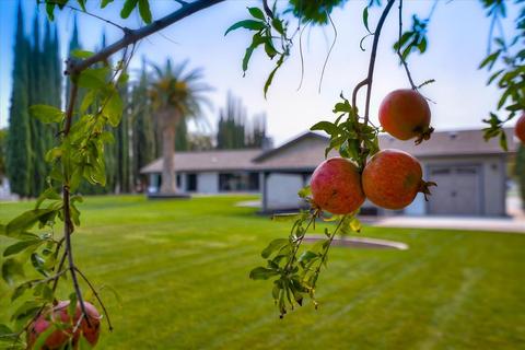 7843 Stearman Rd, Tracy, CA 95377 photo 64