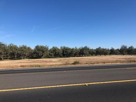 5519 E Hatch Rd, Hughson, CA 95326 photo 1