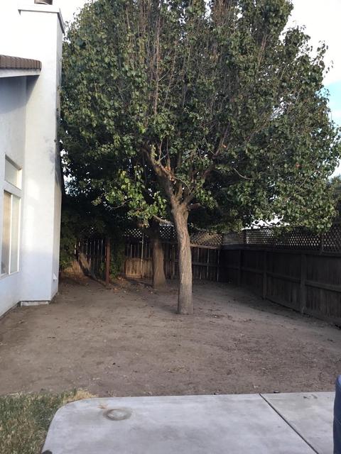 191 Bernt Ave, Manteca, CA 95336 photo 28