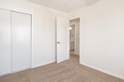 700 Jonquil Dr, Lathrop, CA 95330 photo 23