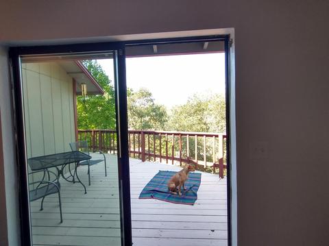 1323 Carson Rd, Placerville, CA 95667 photo 18