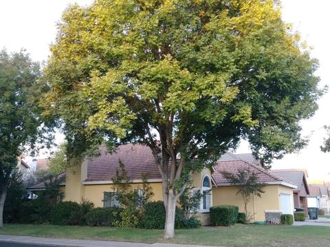 3513 Jarena Dr, Modesto, CA 95357 photo 3