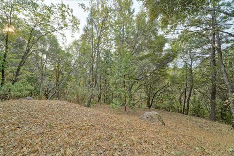 2790 Highway 50, Placerville, CA 95667 photo 24