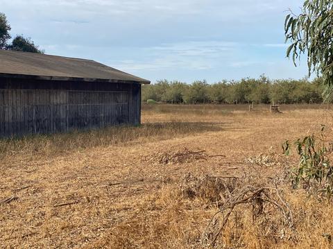 4861 Griffin Rd, Hughson, CA 95326 photo 4
