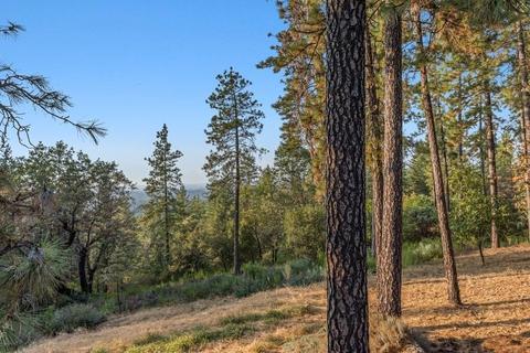 17121 Mountain View Dr, Applegate, CA 95703 photo 21