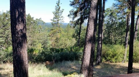 17121 Mountain View Dr, Applegate, CA 95703 photo 20