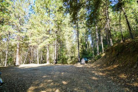825 Pine Forest Rd, Colfax, CA 95713 photo 42