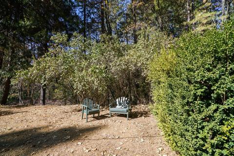 825 Pine Forest Rd, Colfax, CA 95713 photo 43