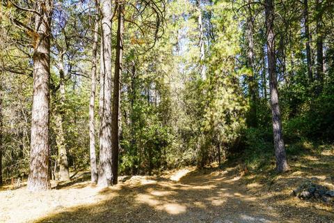 825 Pine Forest Rd, Colfax, CA 95713 photo 44