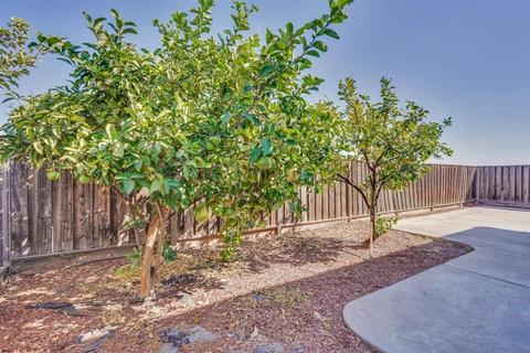 16276 Adobe Way, Lathrop, CA 95330 photo 51