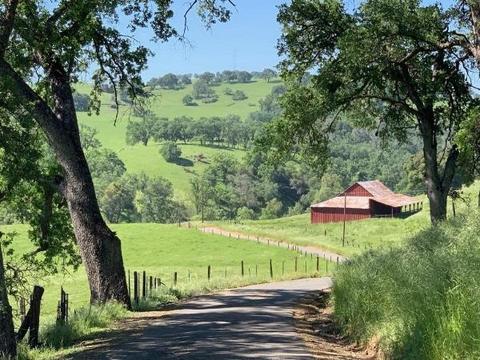 14815 Turner Rd, Sutter Creek, CA 95685 photo 1