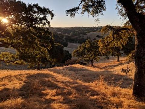 14815 Turner Rd, Sutter Creek, CA 95685 photo 32