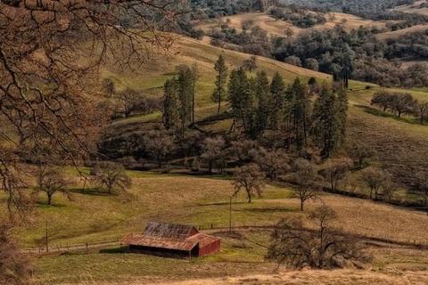14815 Turner Rd, Sutter Creek, CA 95685 photo 29