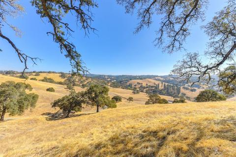 14815 Turner Rd, Sutter Creek, CA 95685 photo 16