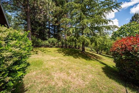 21302 Back Dr, Colfax, CA 95713 photo 3