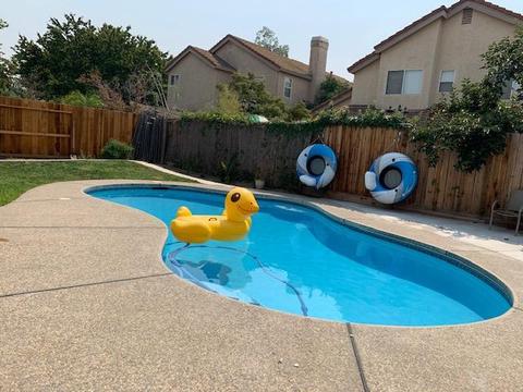 1720 Volendam, Modesto, CA 95356 photo 23