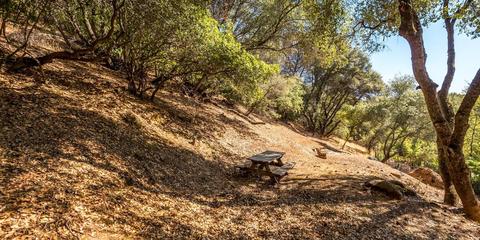 1579 Sean Dr, Placerville, CA 95667 photo 28