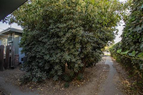 803 Helen Ave, Modesto, CA 95350 photo 20