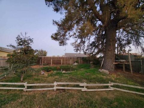 12056 W Ripon Rd, Ripon, CA 95366 photo 29