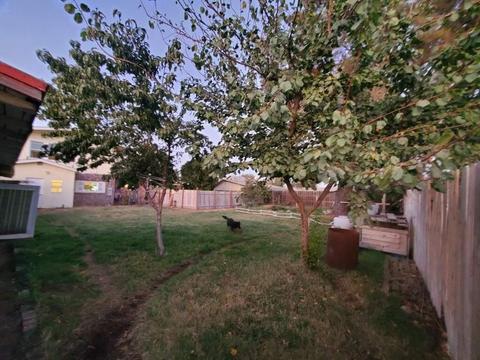 12056 W Ripon Rd, Ripon, CA 95366 photo 22