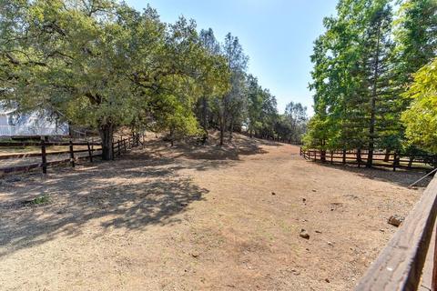 1447 Claim Stake Ct, Cool, CA 95614 photo 14