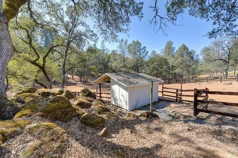1447 Claim Stake Ct, Cool, CA 95614 photo 9