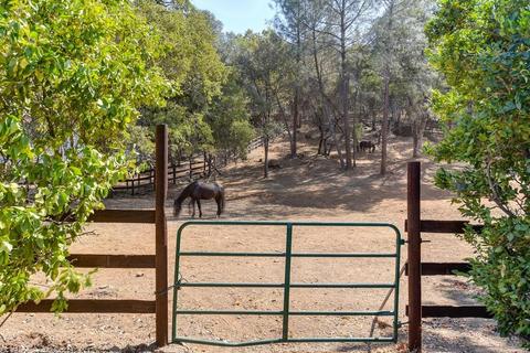 1447 Claim Stake Ct, Cool, CA 95614 photo 13