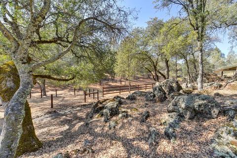 1447 Claim Stake Ct, Cool, CA 95614 photo 8