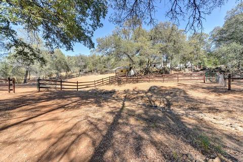 1447 Claim Stake Ct, Cool, CA 95614 photo 24