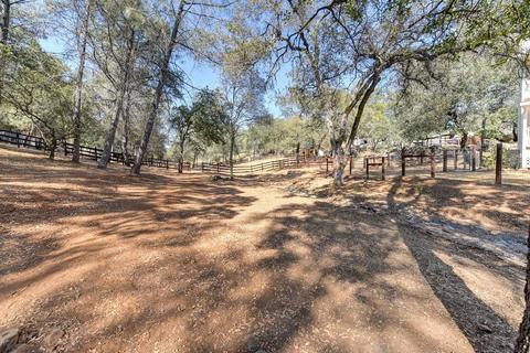 1447 Claim Stake Ct, Cool, CA 95614 photo 23