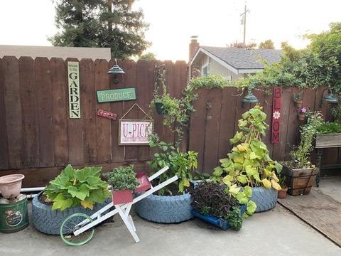18854 Grace St, Linden, CA 95236 photo 26