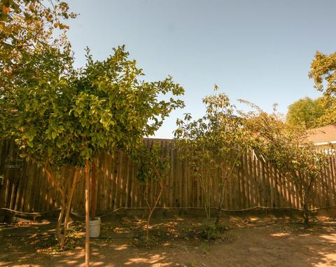 113 Oak St, Modesto, CA 95351 photo 17