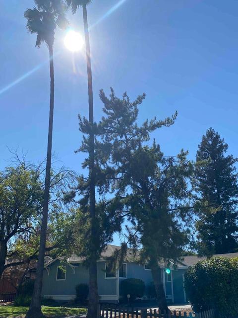 5049 Kahn St, Carmichael, CA 95608 photo 3