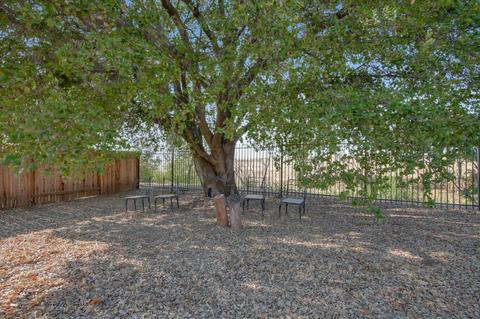 4336 Aubergine Way, Mather, CA 95655 photo 32