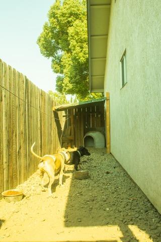 1572 Windgate Dr, Manteca, CA 95336 photo 21