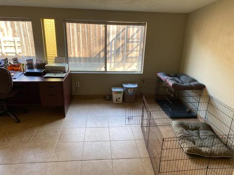 1133 Bispo Dr, Modesto, CA 95350 photo 19