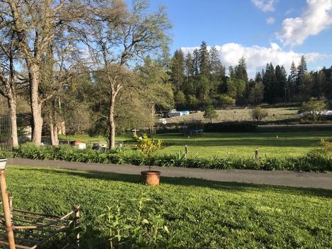 18031 Applegate Rd, Applegate, CA 95703 photo 4