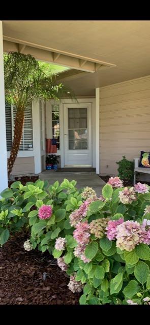 3650 N Olive Ave, Turlock, CA 95382 photo 2