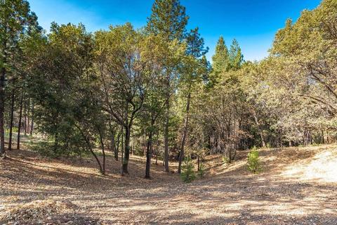 13625 Elderberry Dr, Pine Grove, CA 95665 photo 41