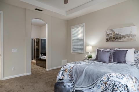 1749 Bella Terra Dr, Manteca, CA 95337 photo 18