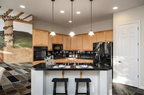 1749 Bella Terra Dr, Manteca, CA 95337 photo 13