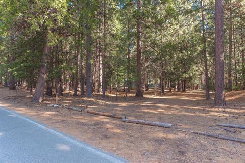 24466 Shake Ridge Rd, Volcano, CA 95689 photo 39