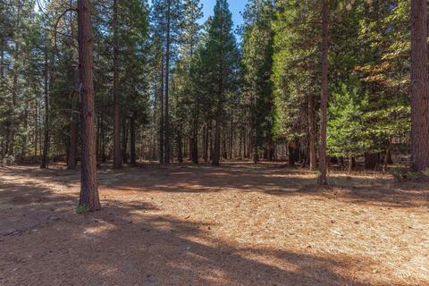 24466 Shake Ridge Rd, Volcano, CA 95689 photo 3