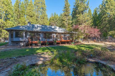 24466 Shake Ridge Rd, Volcano, CA 95689 photo 30