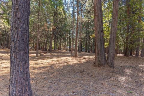 24466 Shake Ridge Rd, Volcano, CA 95689 photo 35