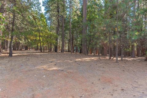 24466 Shake Ridge Rd, Volcano, CA 95689 photo 36