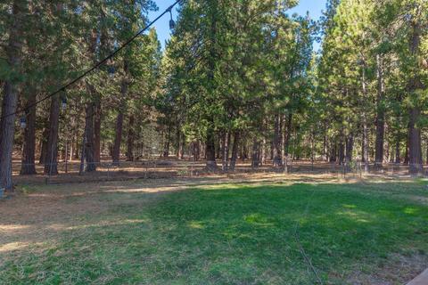 24466 Shake Ridge Rd, Volcano, CA 95689 photo 34